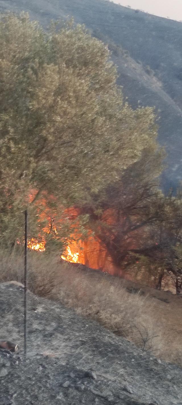 Φωτιά στο Ρέθυμνο