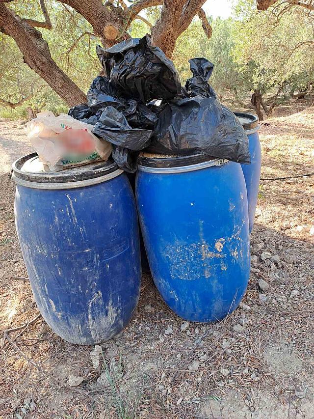 Κάνναβη