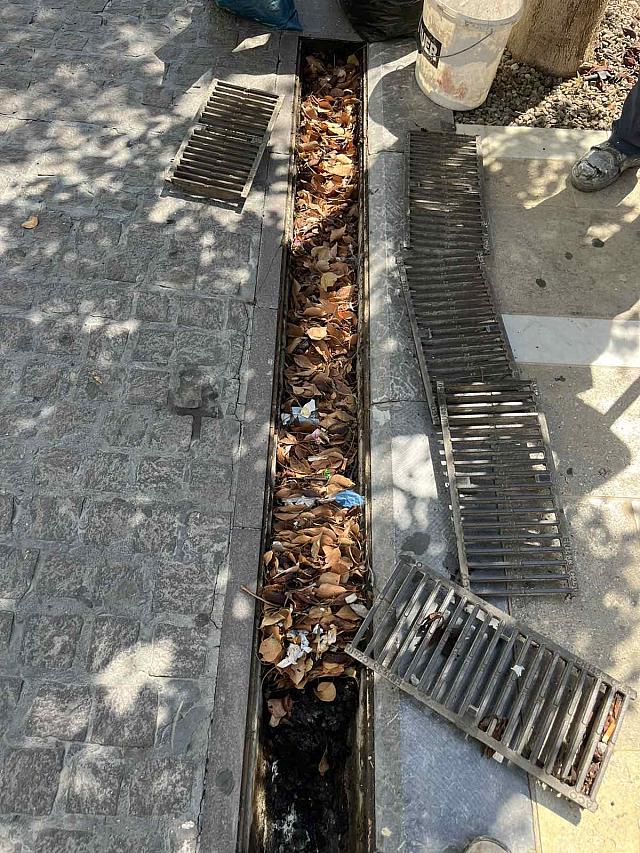 σχάρες