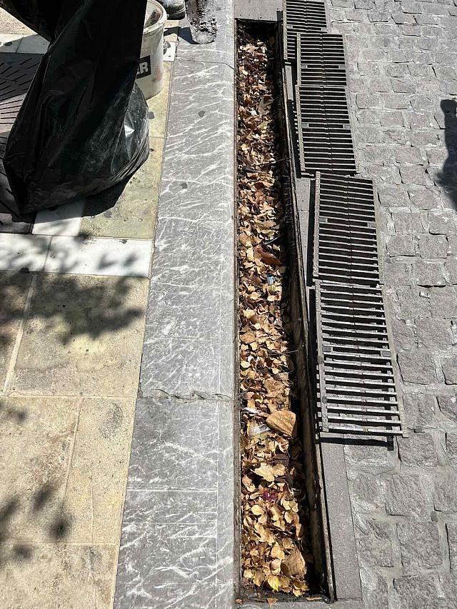 ΦΡΕΑΤΙΑ