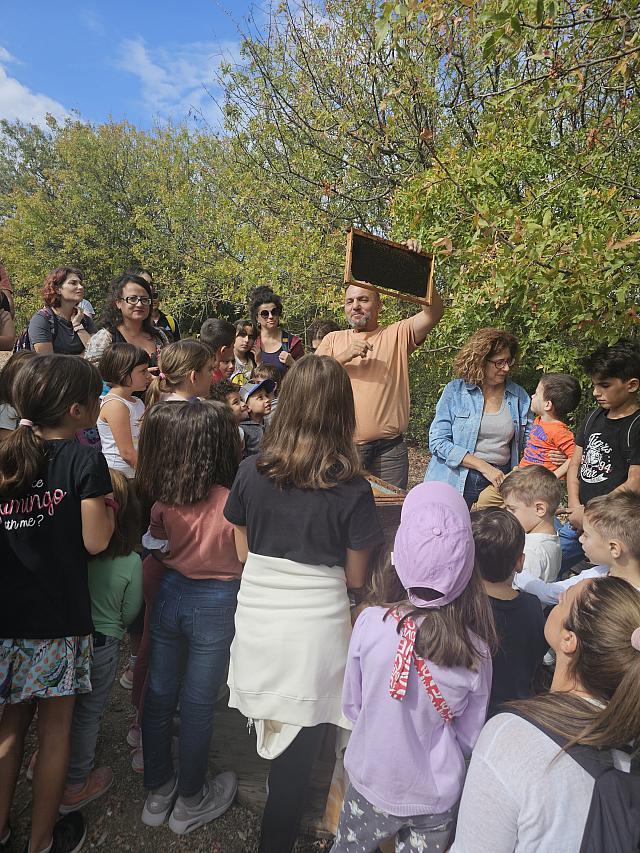 ΚΑΛΕΣΜΑ ΠΟΥΛΙΩΝ