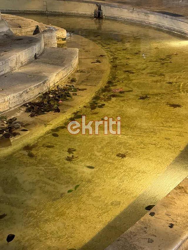 λιοντάρια