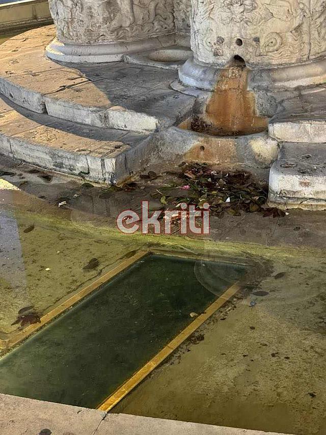 λιοντάρια