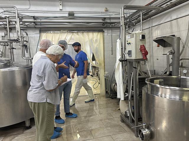 κρητικη γαστρονομια