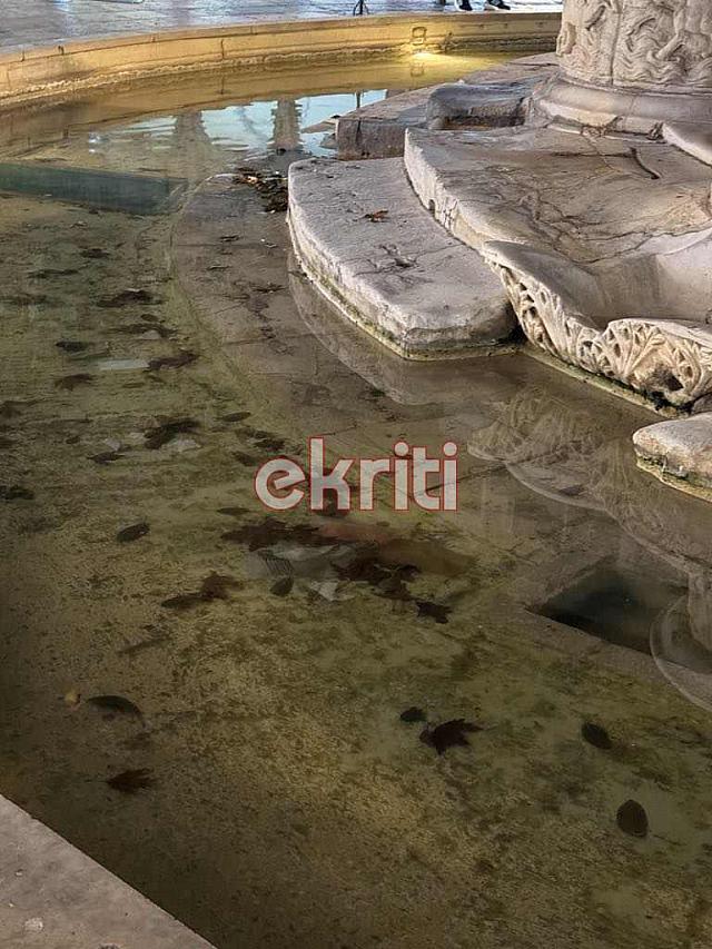 λιοντάρια