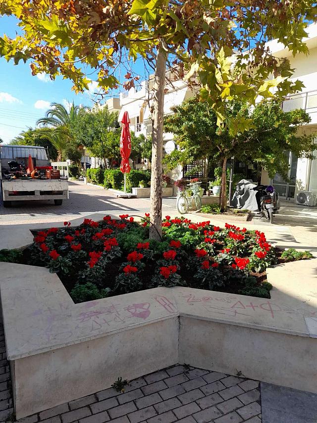 Άνθη - Ηράκλειο