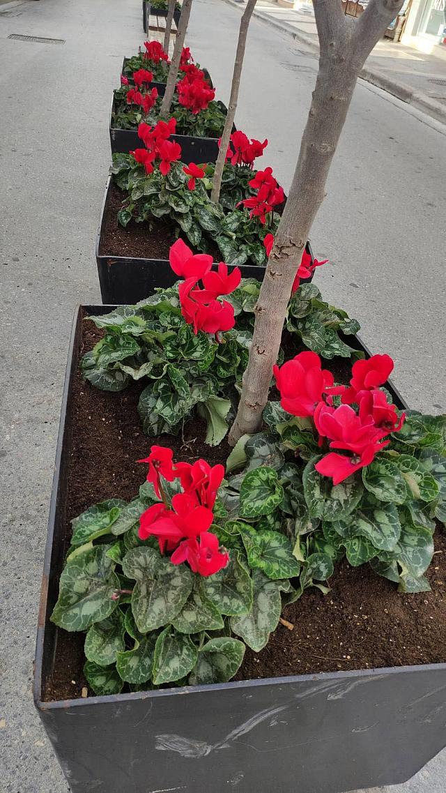 Άνθη - Ηράκλειο