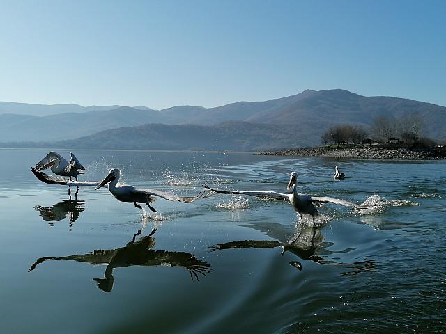 ΔΕΗ βιώσιμη ανάπτυξη