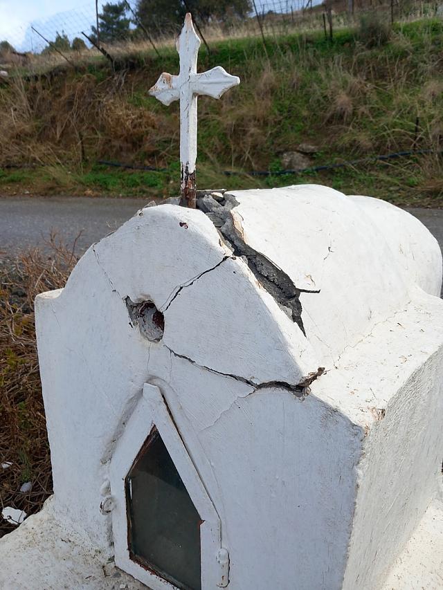 κλάδεμα δέντρου