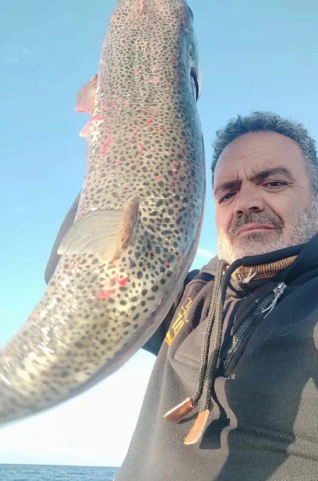 Λαγοκέφαλος γίγας