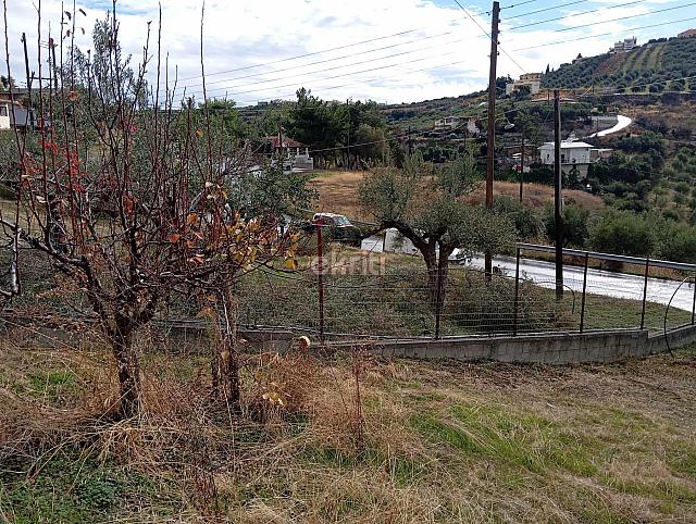 αυτοκίνητο σπήλια