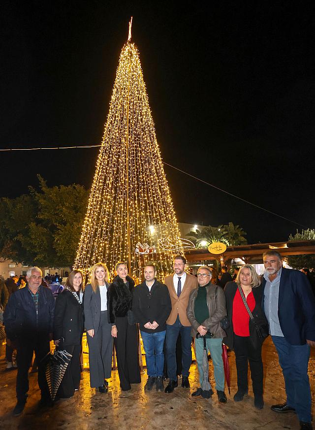 φωταγώγηση δέντρου