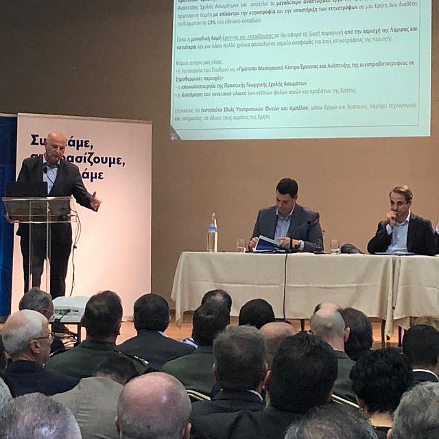 τσιαρας