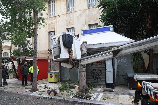 πτώση δέντρου Δικαιοσύνης