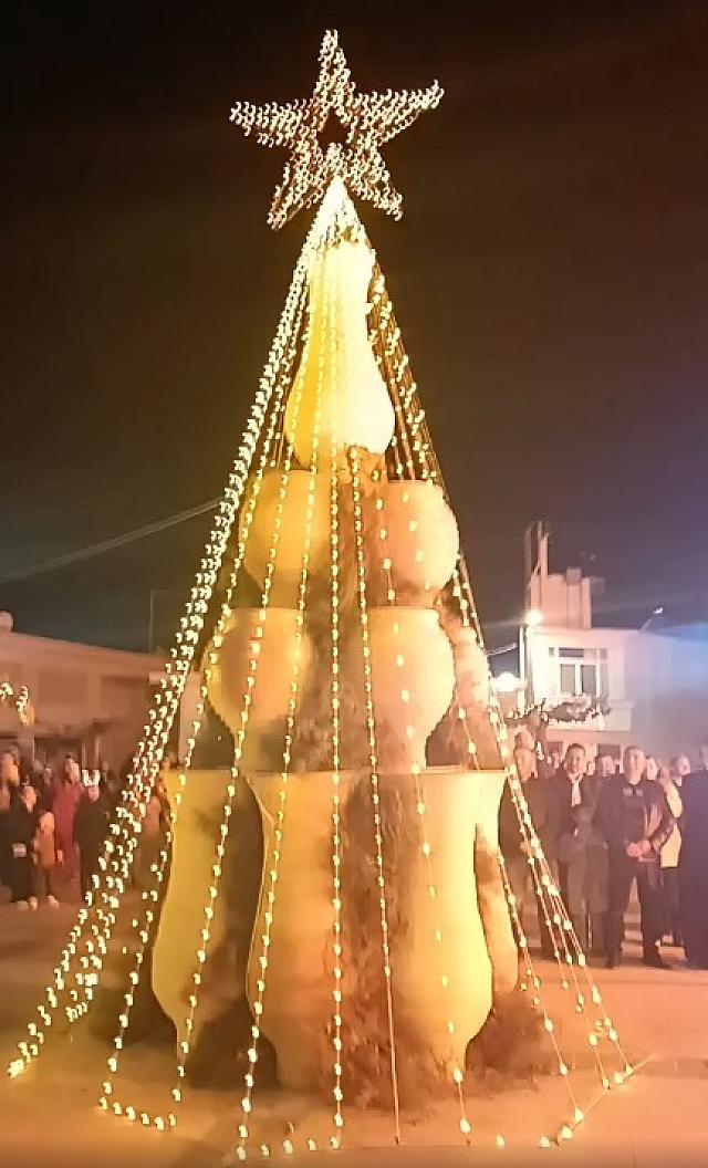 ΠΥΘΑΡΟΔΕΝΤΡΟ