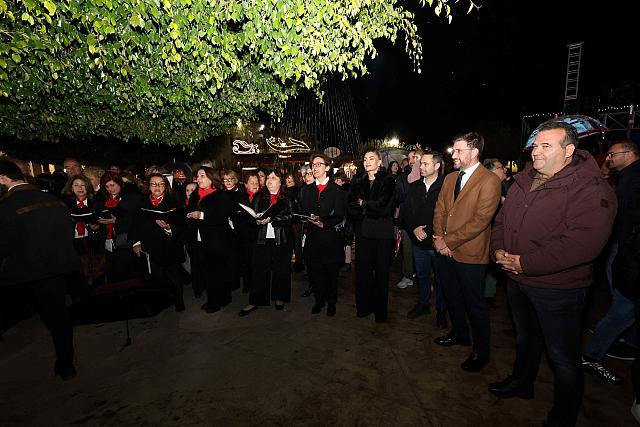φωταγώγηση δέντρου