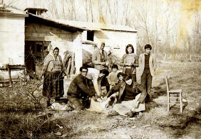 χοιροσφάγια