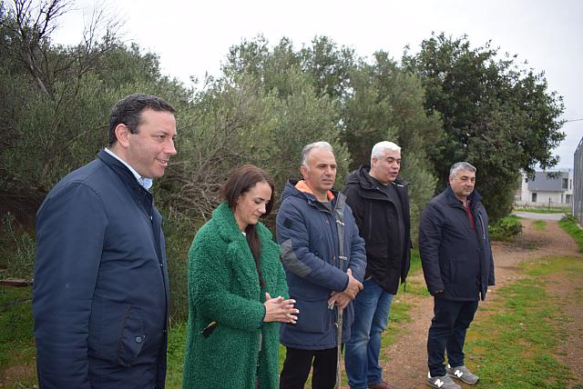 ΜΕΝΕΓΑΚΗΣ ΣΕ ΕΛΑΙΩΝΑ