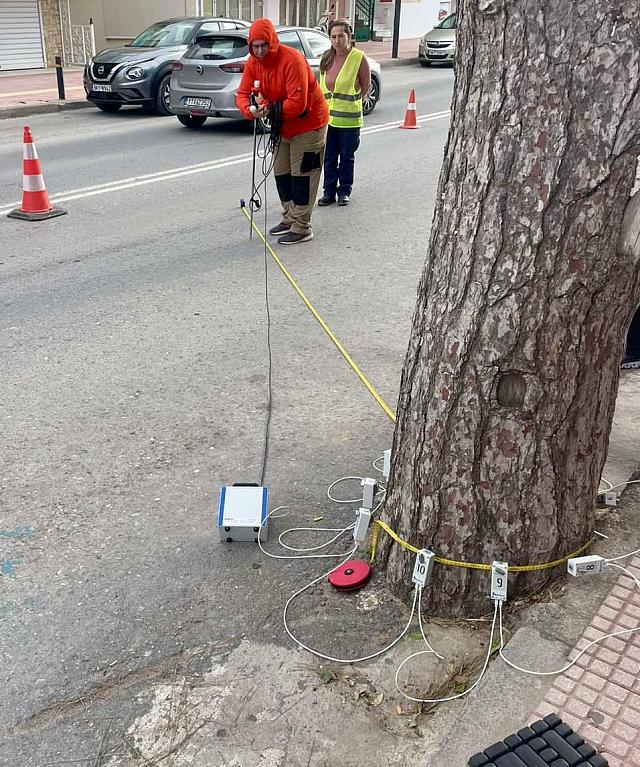 έλεγχος δέντρων