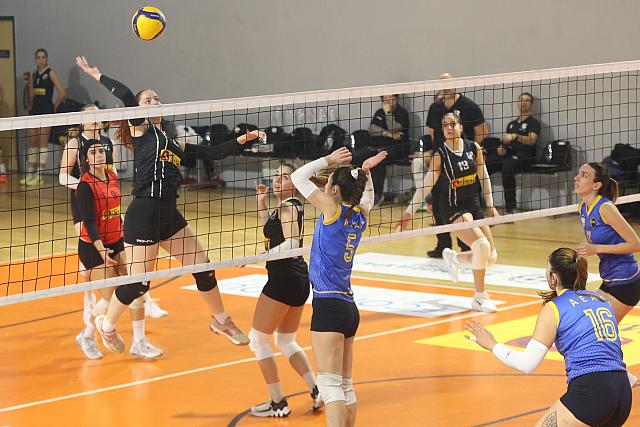 ofi-agia paraskevi
