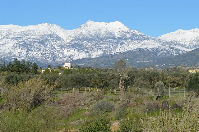 διπλά κέρατα ψηλορείτη