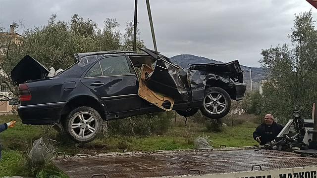 τροχαίο Φυλή