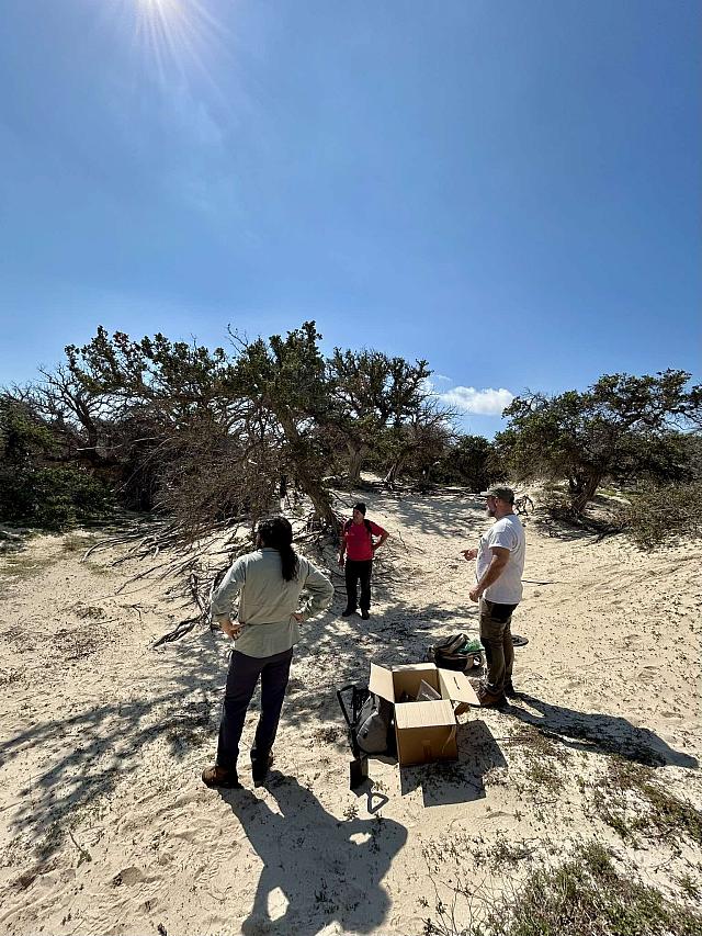 Νησος Χρυσή