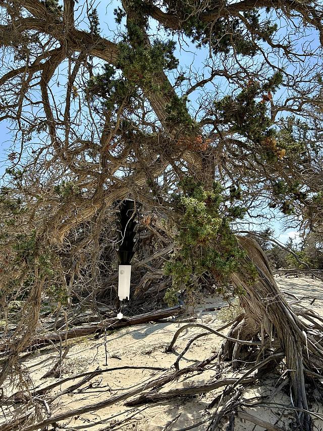 Νησος Χρυσή