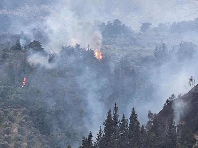 Φωτιά στο Καλαμίτσι