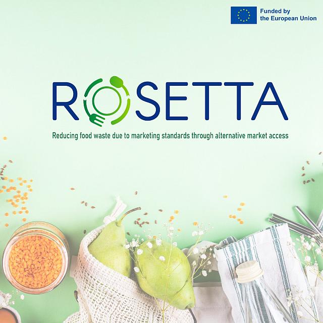rosetta_xalkiadakis