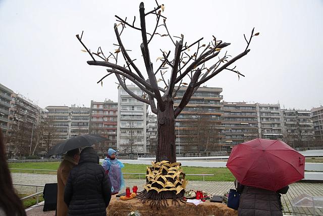 Τέμπη - «Δέντρο της Μνήμης» 