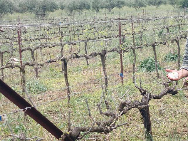 καταστροφες - χαλαζι