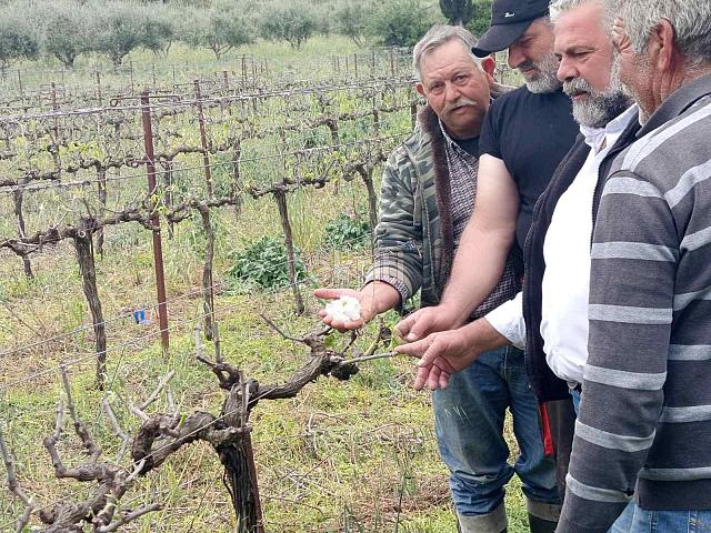 καταστροφες - χαλαζι