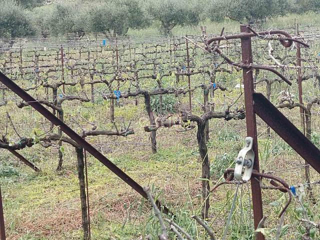 καταστροφες - χαλαζι