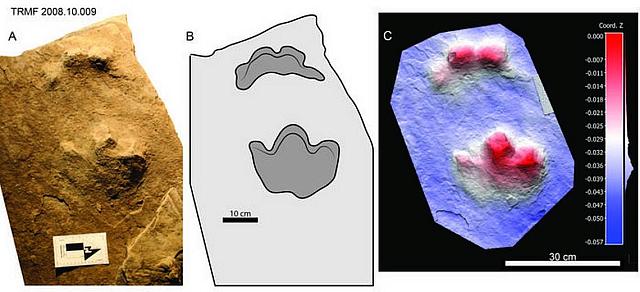 δεινοσαυροι Καναδας