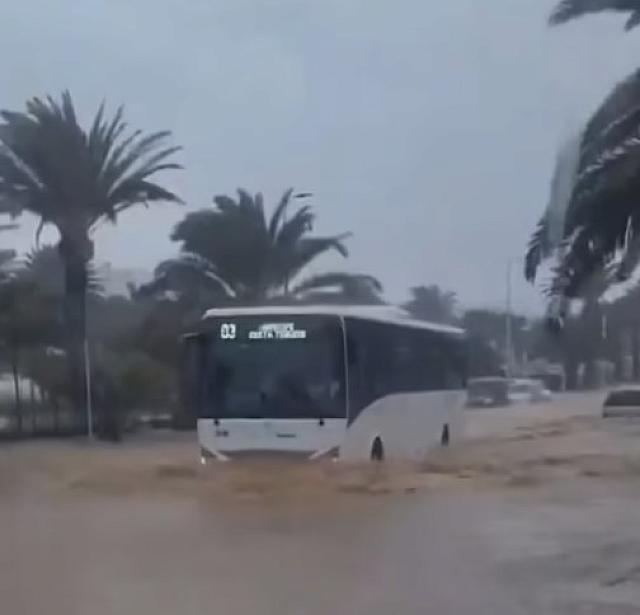 Κανάρια
