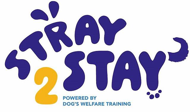 stray to stay