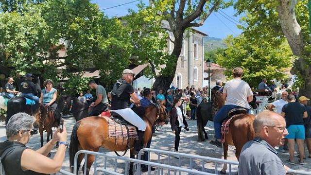 Αγιασμός Αλόγου Καλά Νερά Μαγνησίας