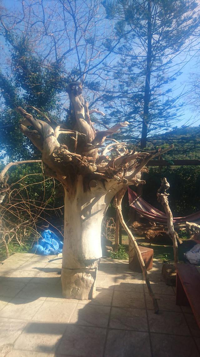 κορμος εργο τεχνης