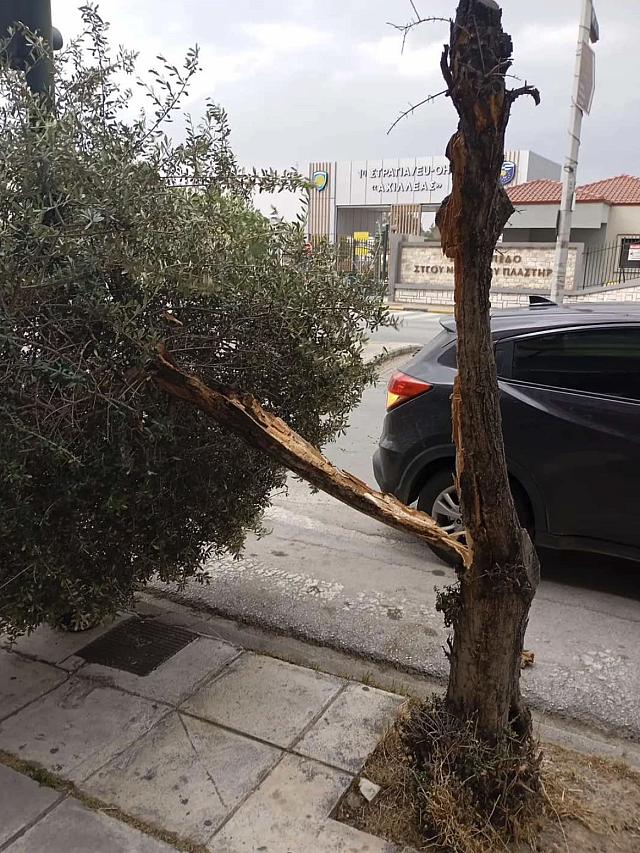 larisa spasmeno dentro