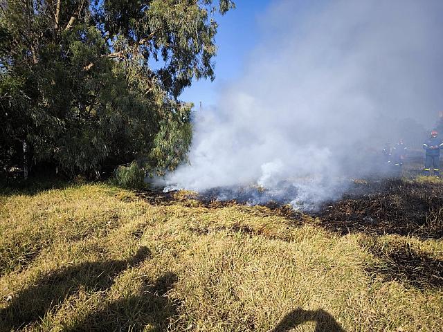 φωτιά πλατανιας
