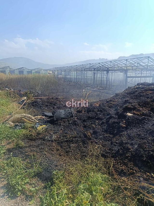 φωτιά - Αγίες Παρασκιές