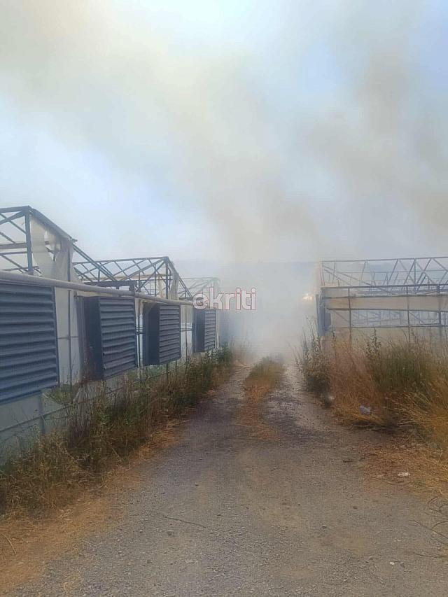 φωτιά - Αγίες Παρασκιές