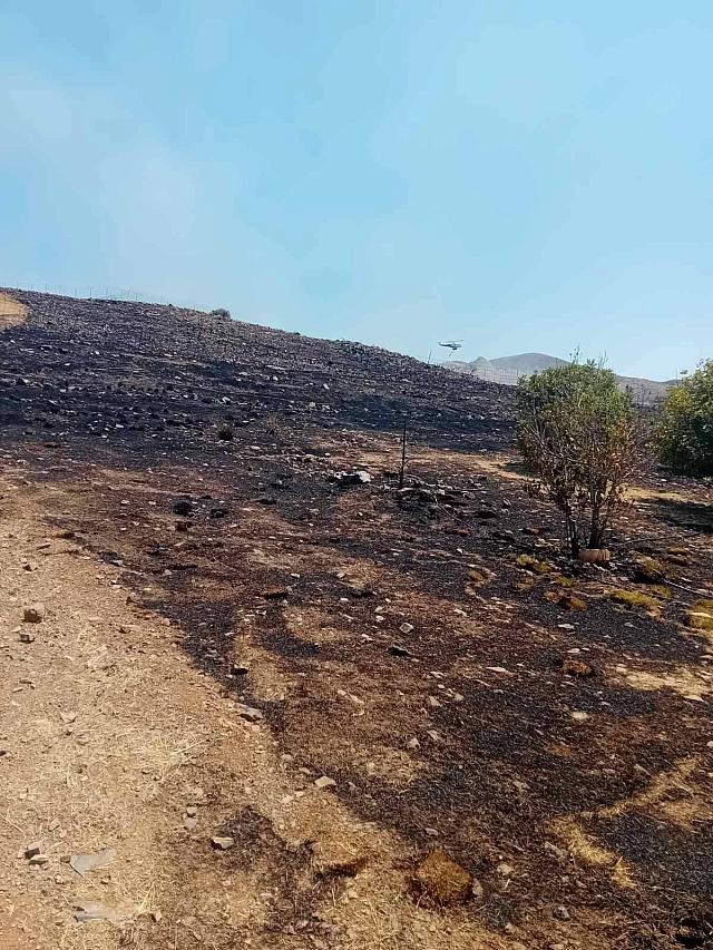 φωτιά στον τσίγκουνα