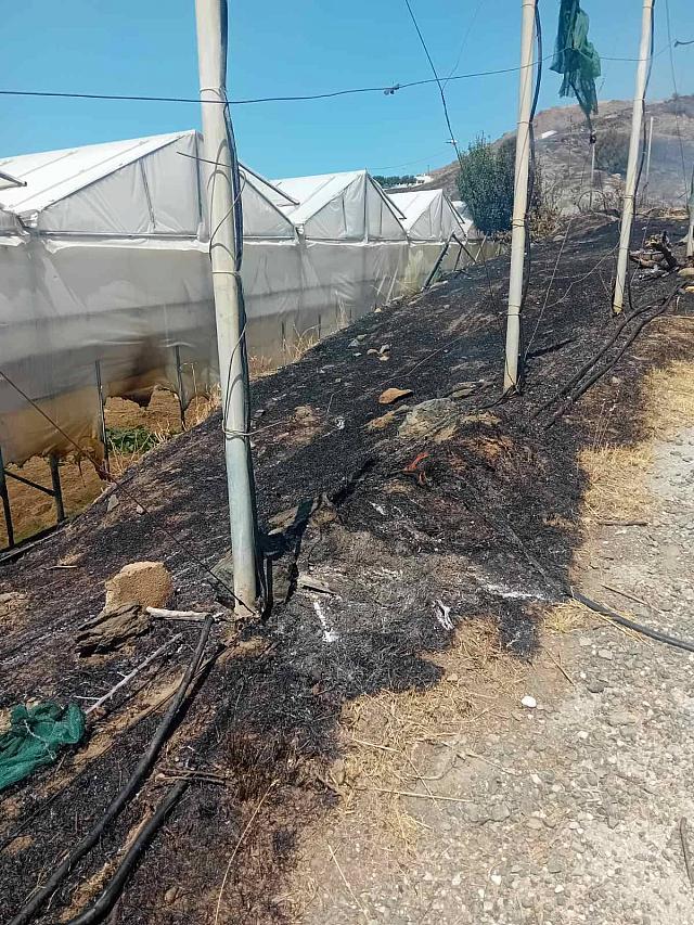 φωτιά στον τσίγκουνα