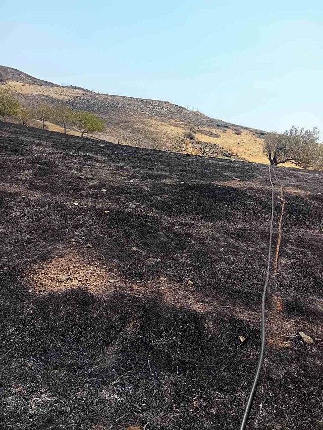 φωτιά στον τσίγκουνα