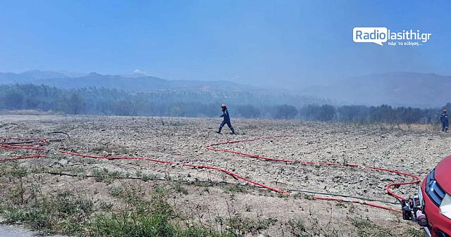 Φωτιά στην Ιεράπετρα