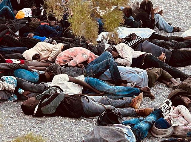 μετανάστες ψαρή φοράδα