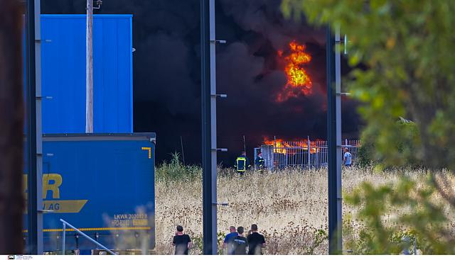 φωτια ριτσωνα