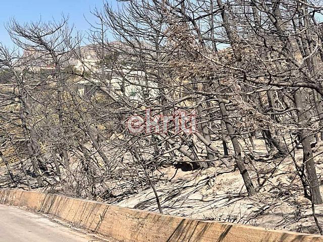 φωτιά ιεράπετρα